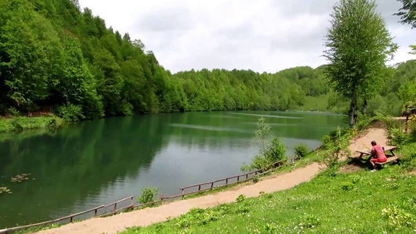 غابات بلغراد اسطنبول